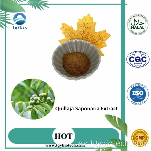 Extracto orgánico de Quillaja/Extracto de Saponaria de Quillaja